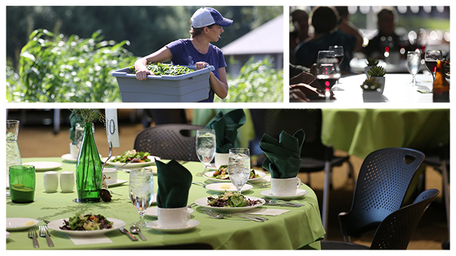 Photo montage of a student harvesting produce on the Open Petal Farm and an elegantly laid table