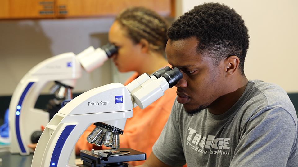 Two JCCC students looking through microscopes
