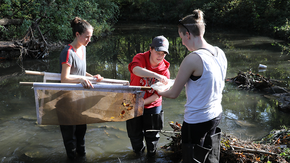 Three students holding a net by a pond and collecting samples