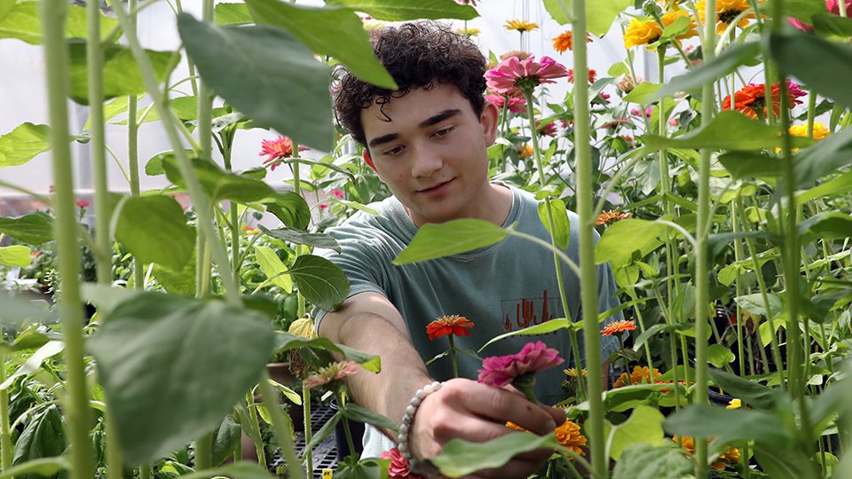 Student picking a flower in a garden