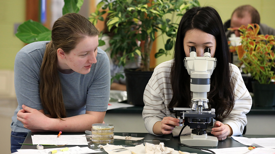 Students studying plants under a microscope