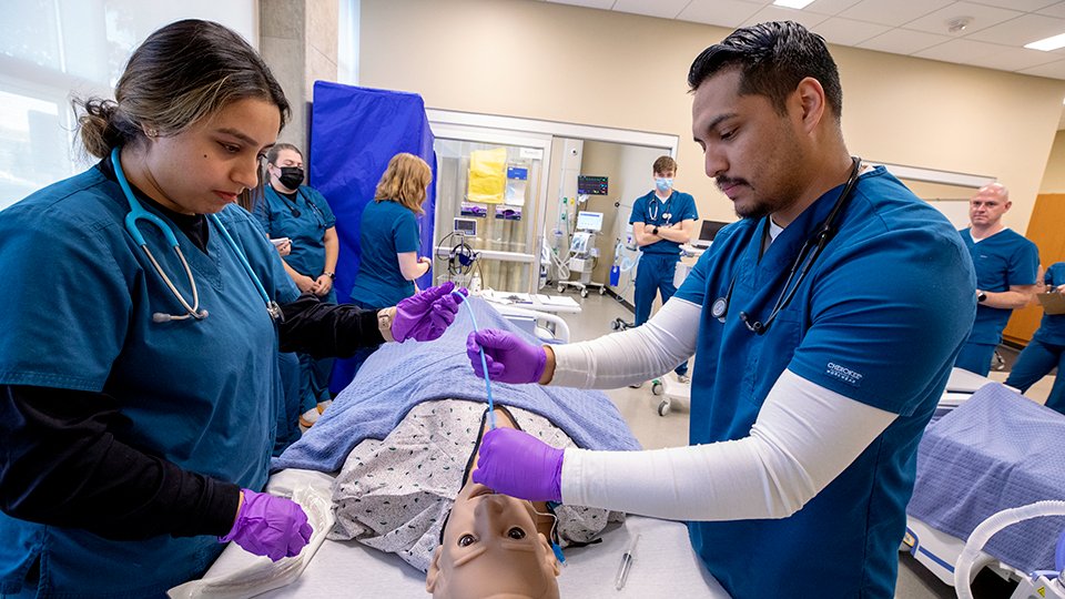 a classroom of JCCC respiratory students practice skills on a simulation dummy