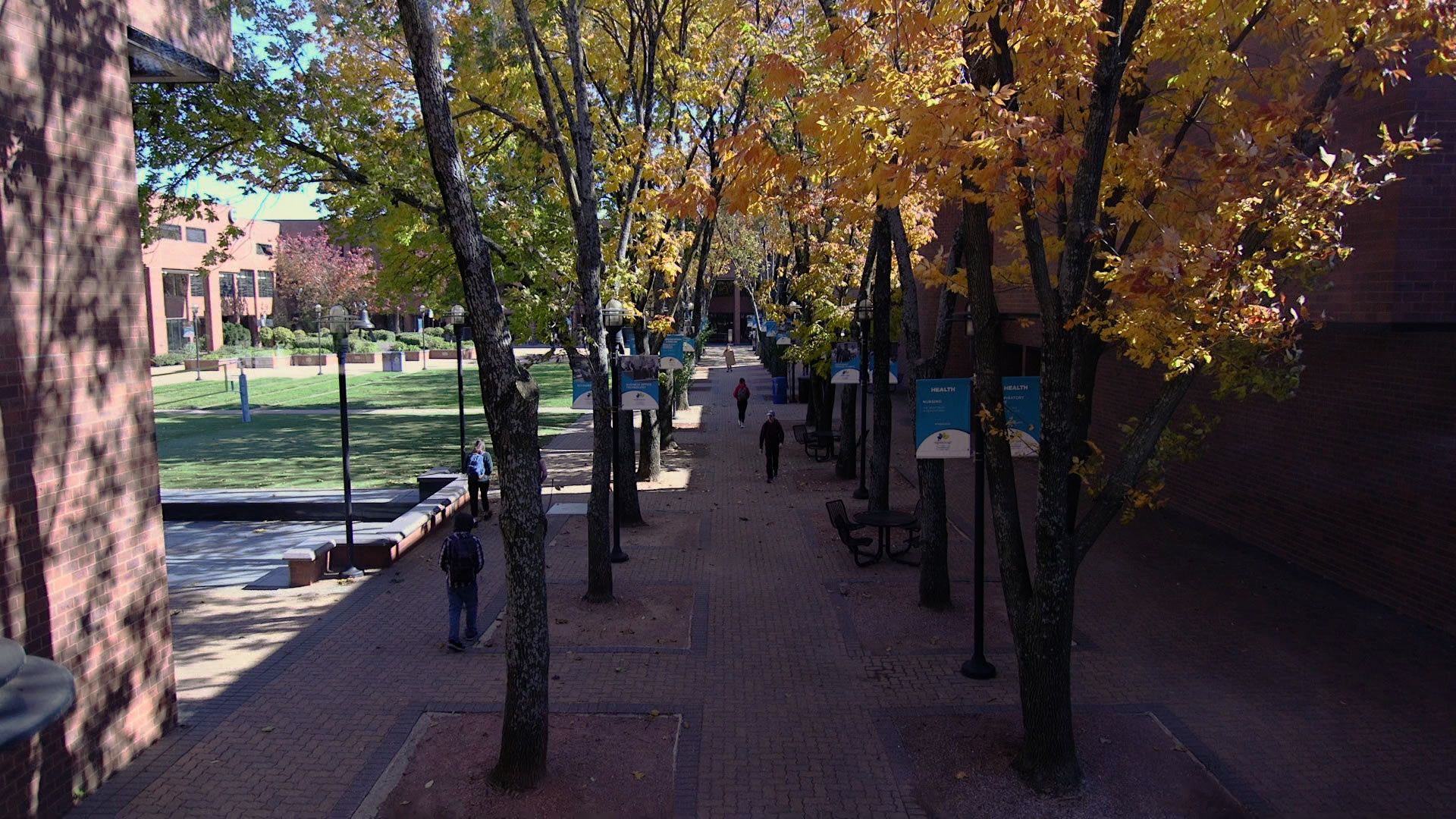 Students walking by the science building in autumn