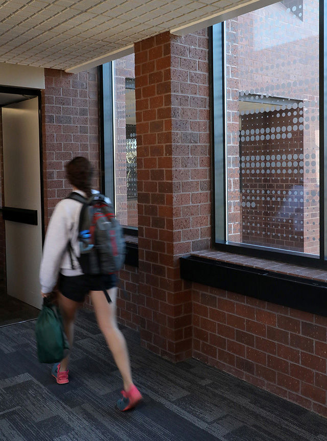 dots on the windows at JCCC with hummingbird spacing