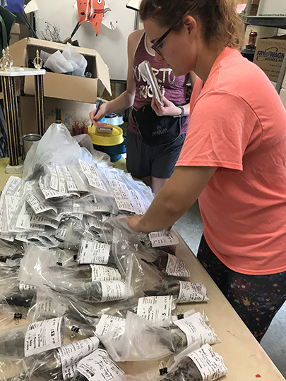 volunteers inventory dead birds that were found on the JCCC campus