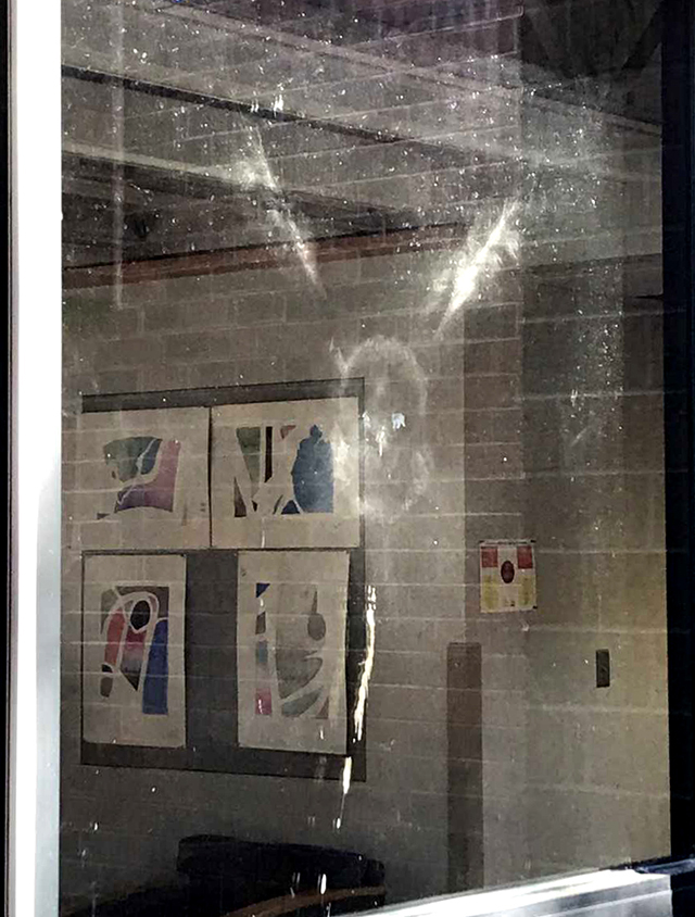 an imprint of an owl left on the glass of a window following a collision