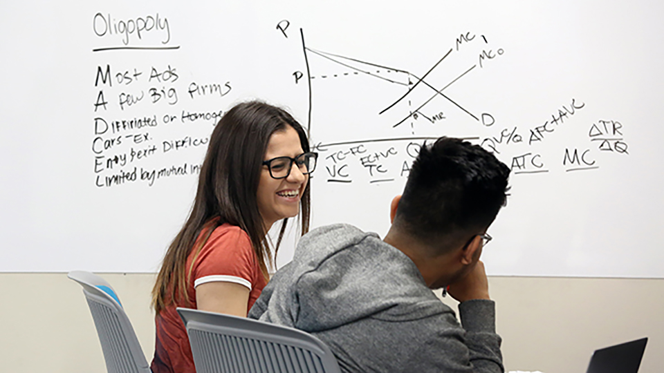 Smiling students working together in a Sociology class