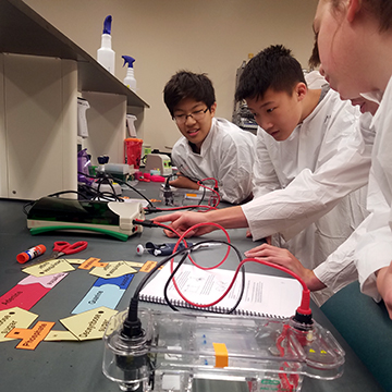 four students perform an experiment for DNA camp