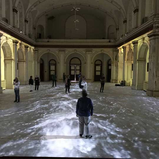 Field trip viewing video installation. 