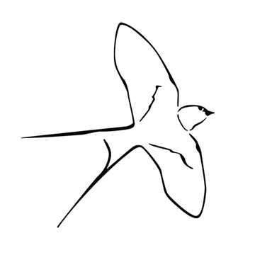 Student project work, bird illustration