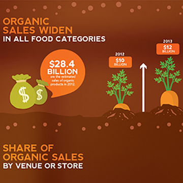 Student project work, organic food infographic