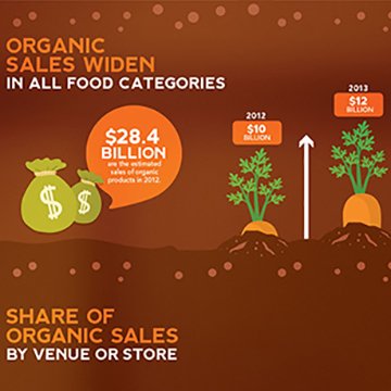 Student project work, organic food infographic