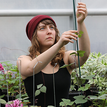 Horticulture student working with a plant in the campus greenhouse.