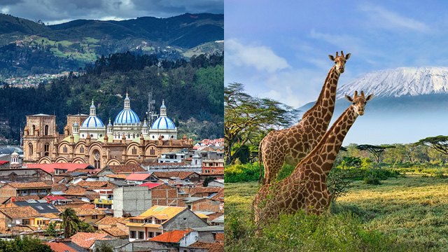 Left: A city in Ecuador Right: Two giraffes