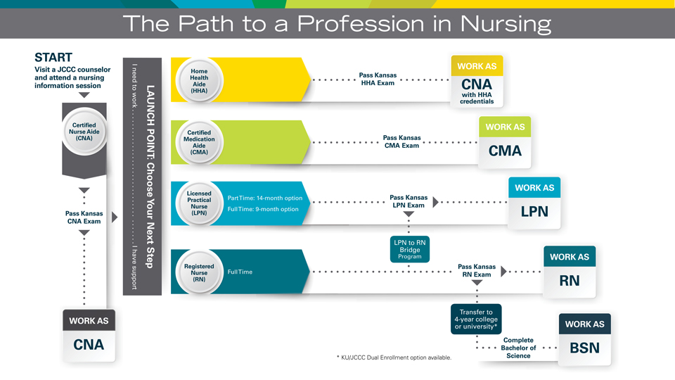 Flow chart showing nursing education pathway