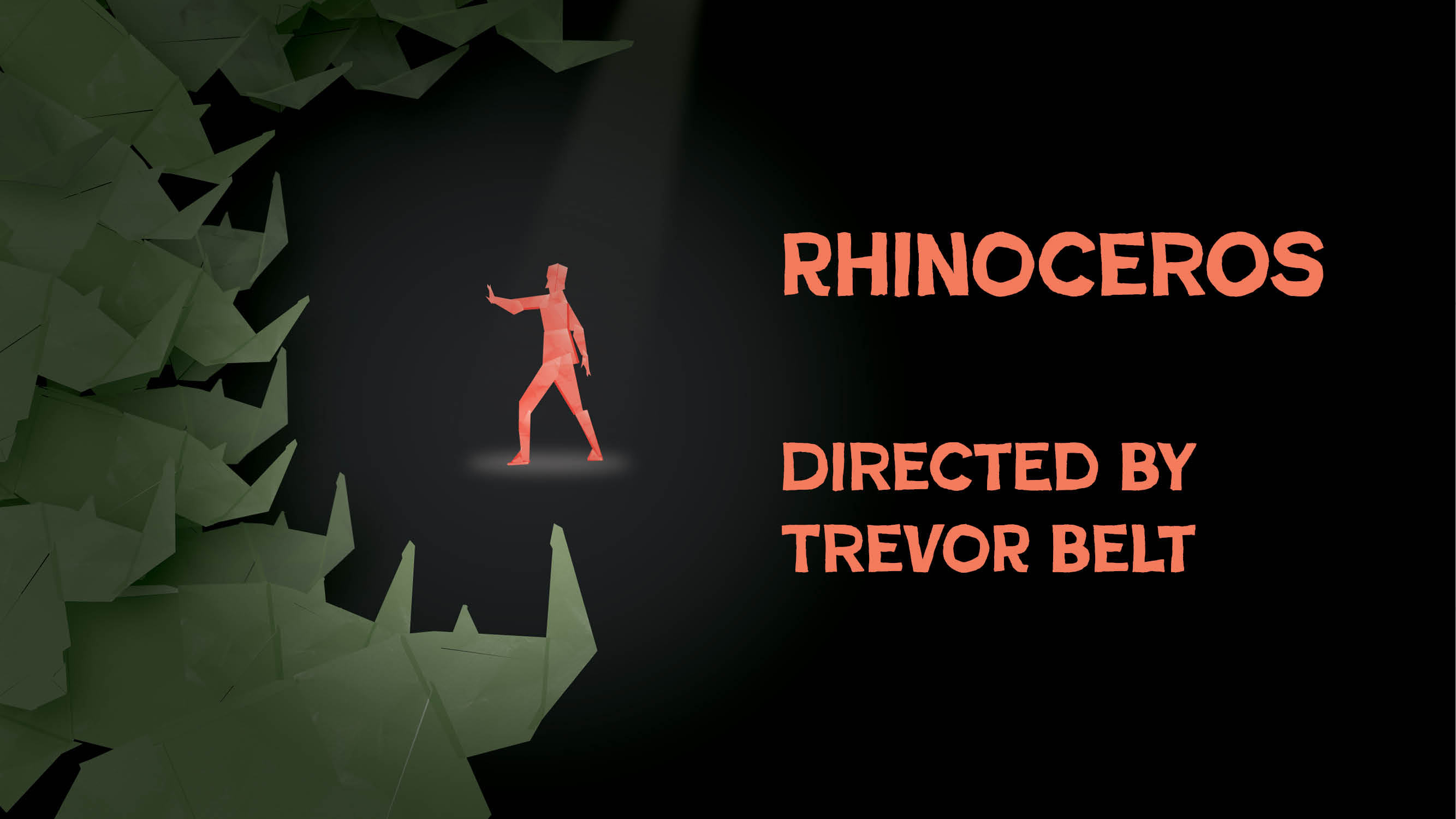 poster for Rhinoceros