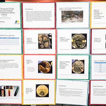 Sample poster about Eureka Springs soil yields from the Science and Math Poster Symposium.