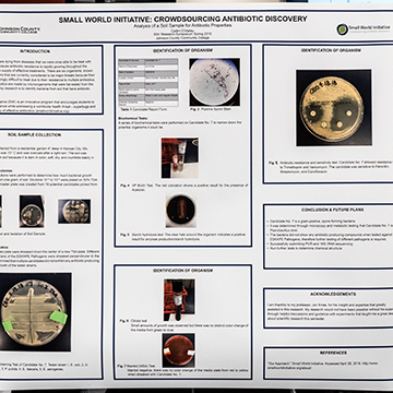 Sample poster about antibiotic discovery from the Science and Math Poster Symposium.