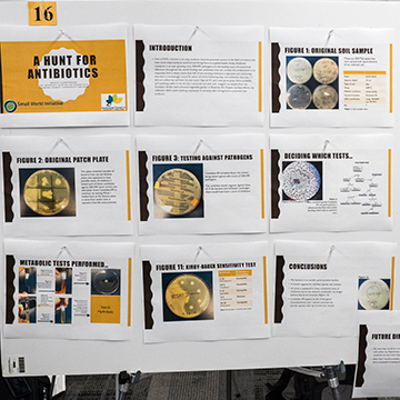 Sample poster about antibiotics from the Science and Math Poster Symposium.