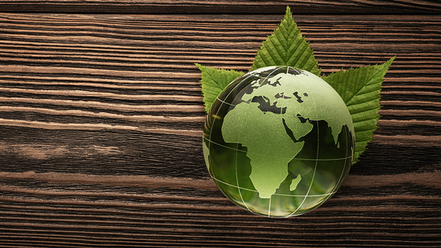 Graphic of globe wrapped in a leaf.