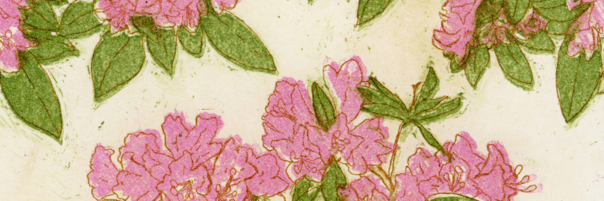 Rhododendrons by Ruben Castillo.