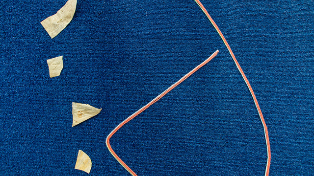 Artwork image: Teresa Baker, Missouri River (detail), 2022, Yarn, parfleche, artificial sinew, oil pastel, on Astroturf, 72.25 x 107.5 in., Courtesy the Artist and de boer gallery, Los Angeles, California.