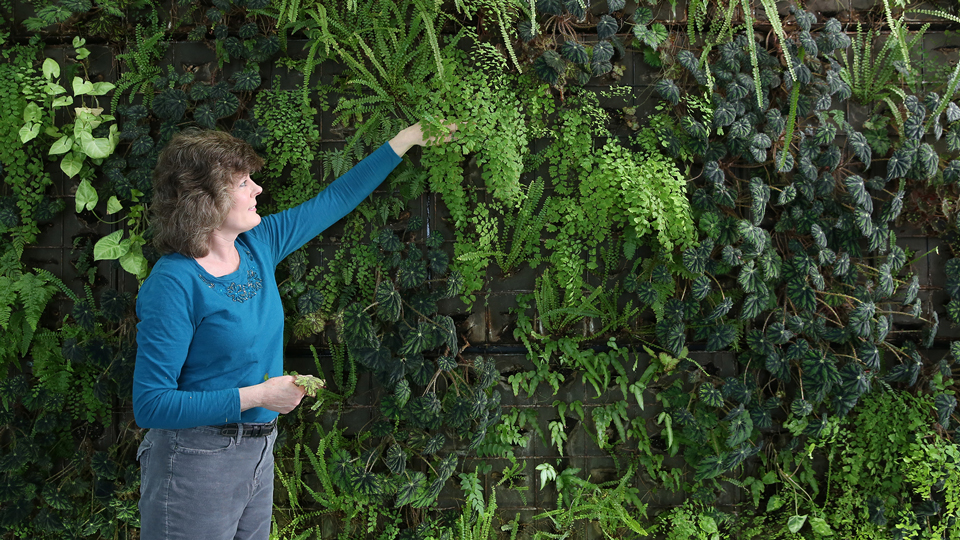 Katie Sadler posing near the living wall pointing out different plants