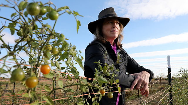 Nina Danner leaning on a fence, next to a tomato plant
