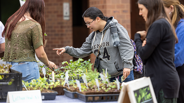 Customers browse produce from the Open Petal Farm