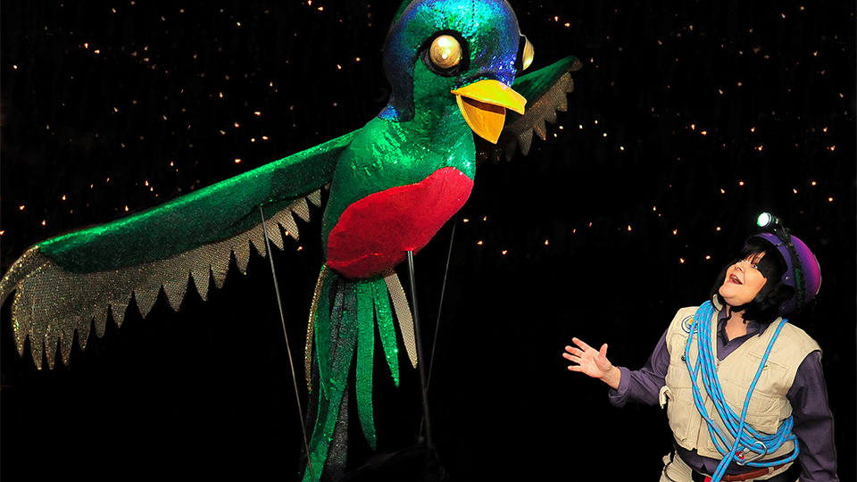 A girl looks at a giant quetzal puppet. 