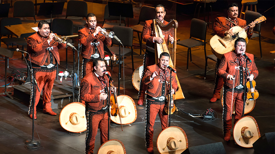 Mariachis los Camperos.