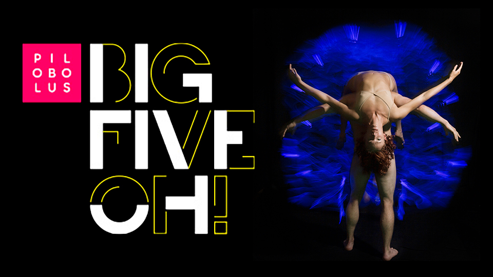 The words Pilobolus Big Five Oh! next to two dancers in front of a blue background