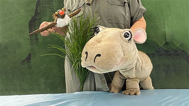 Hannah the Hippo and Ollie puppets