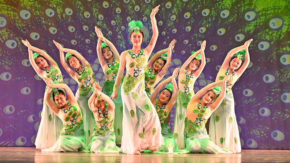 11 Chinese dancers pose on stage in front of a peacock backdrop