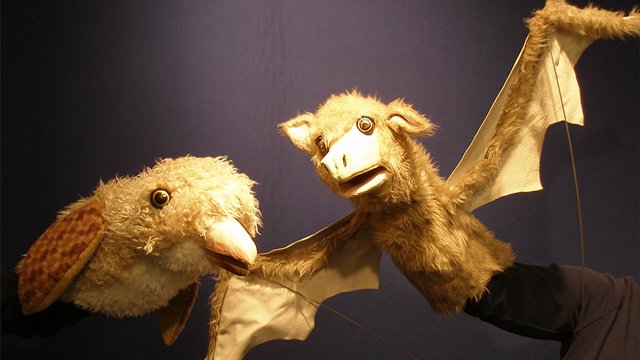 a bird and a bat puppet