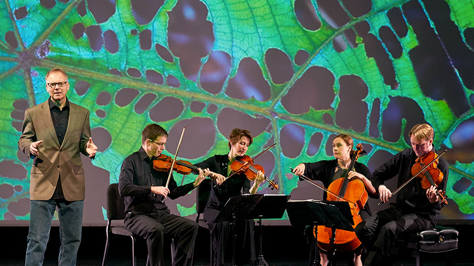 five musicians on stage performing in front of a large image of a leaf