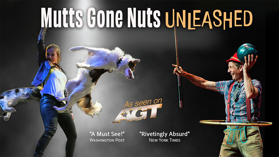 photo collage of dogs performing tricks with the words Mutts Gone Nuts Unleashed - as seen on AGT - and the quotes rivetingly absurd (New York Times) and A Must See! (Washington Post)
