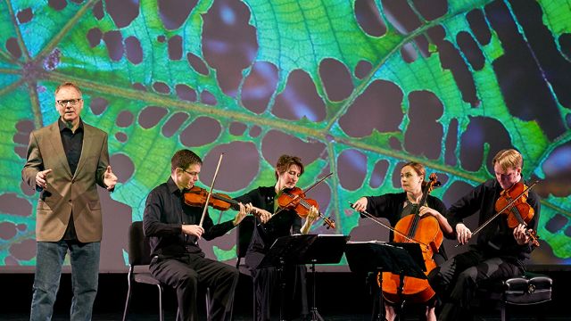 five musicians on stage performing in front of a large image of a leaf