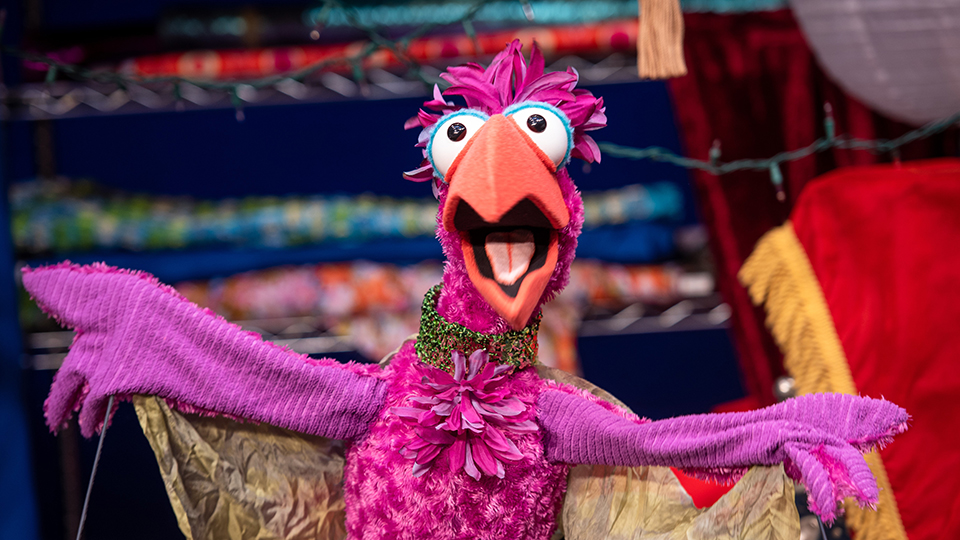 What If Puppets Digital Educational Series 