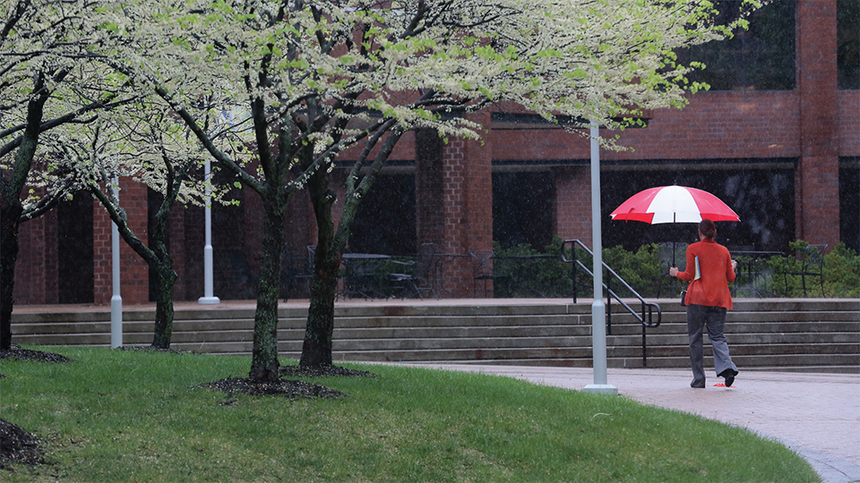 A person with an umbrella walks across campus.