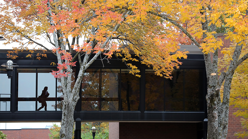 Elevated walkway between CLB and SCI buildings with fall foliage in the foreground